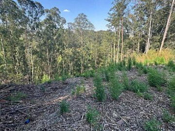 Terreno em Condomínio - Venda - Tamboré - Barueri - SP