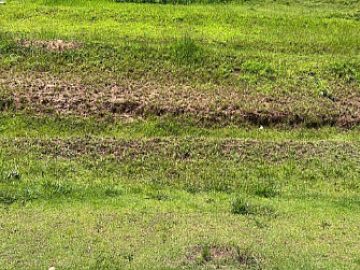 Terreno em Condomínio - Venda - Alphaville - Santana de Parnaíba - SP