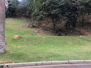 Terreno em Condomínio - Venda - Tamboré - Barueri - SP